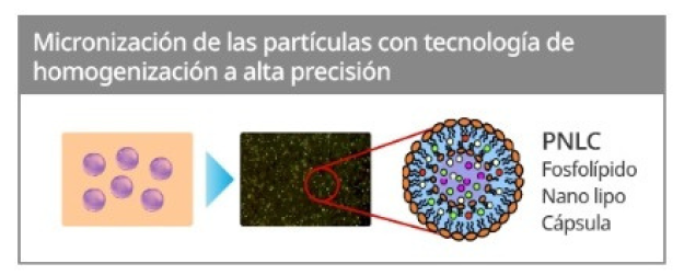 Cuidado nutritivo concentrado profundamente en la piel a través del método M/F  - Más ingredientes altamente eficaces son llevados profundamente y más rápido a través del sistema de microsuministro.